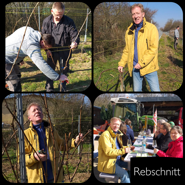 Patenschaftsweinberg-Rebschnitt-2022