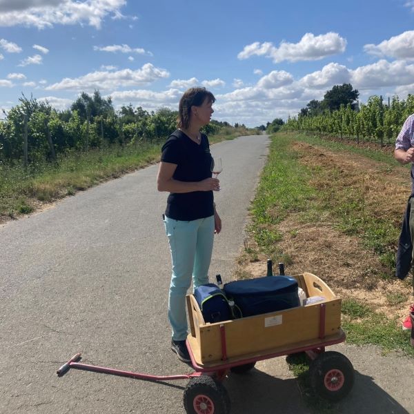 Weinwanderung 2024